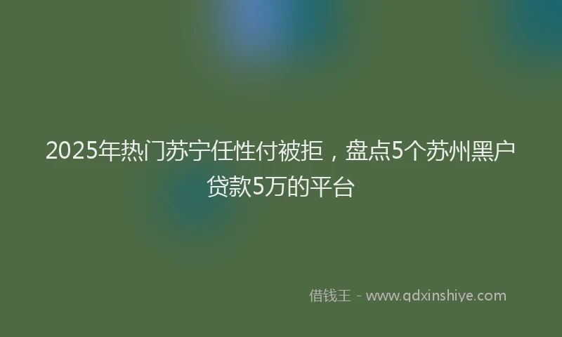 2025年热门苏宁任性付被拒，盘点5个苏州黑户贷款5万的平台