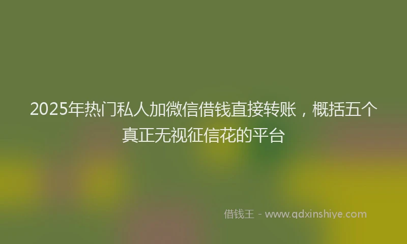 2025年热门私人加微信借钱直接转账，概括五个真正无视征信花的平台