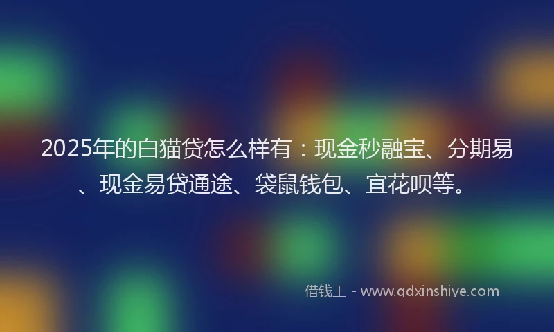 2025年的白猫贷怎么样有：现金秒融宝、分期易、现金易贷通途、袋鼠钱包、宜花呗等。