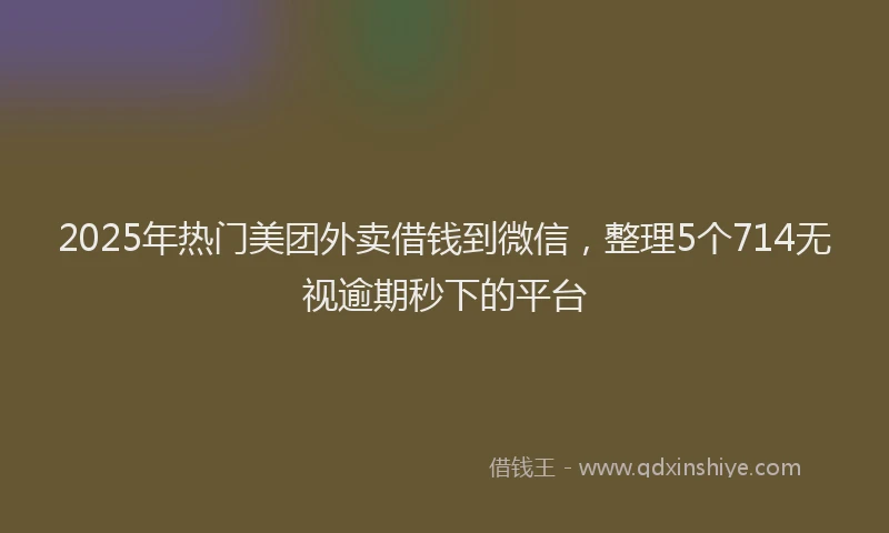 2025年热门美团外卖借钱到微信，整理5个714无视逾期秒下的平台