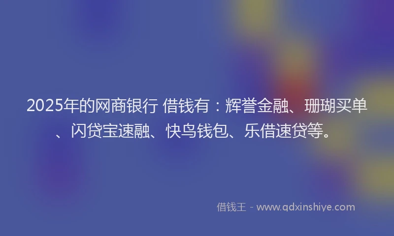 2025年的网商银行 借钱有：辉誉金融、珊瑚买单、闪贷宝速融、快鸟钱包、乐借速贷等。