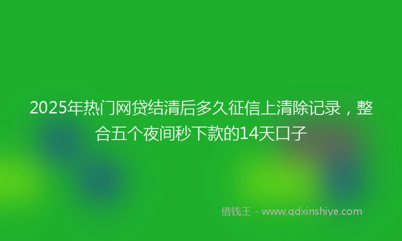 2025年热门网贷结清后多久征信上清除记录，整合五个夜间秒下款的14天口子