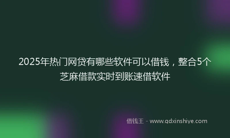 2025年热门网贷有哪些软件可以借钱，整合5个芝麻借款实时到账速借软件