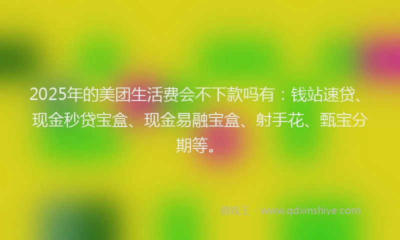 2025年的美团生活费会不下款吗有：钱站速贷、现金秒贷宝盒、现金易融宝盒、射手花、甄宝分期等。