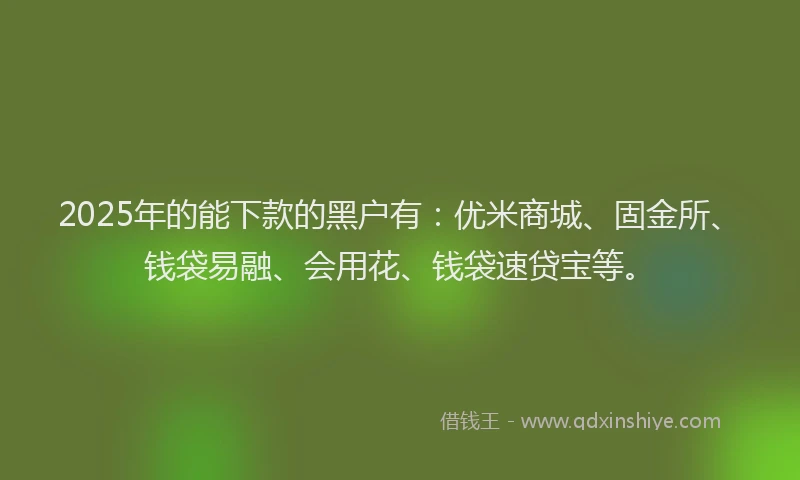 2025年的能下款的黑户有：优米商城、固金所、钱袋易融、会用花、钱袋速贷宝等。