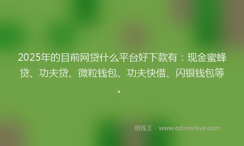 2025年的目前网贷什么平台好下款有：现金蜜蜂贷、功夫贷、微粒钱包、功夫快借、闪银钱包等。