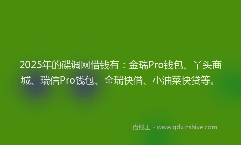 2025年的碟调网借钱有：金瑞Pro钱包、丫头商城、瑞信Pro钱包、金瑞快借、小油菜快贷等。