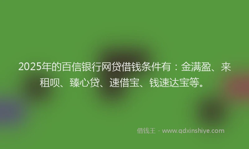 2025年的百信银行网贷借钱条件有：金满盈、来租呗、臻心贷、速借宝、钱速达宝等。
