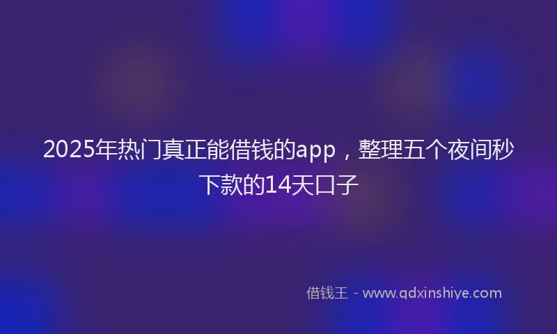 2025年热门真正能借钱的app，整理五个夜间秒下款的14天口子