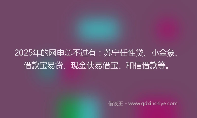 2025年的网申总不过有：苏宁任性贷、小金象、借款宝易贷、现金侠易借宝、和信借款等。
