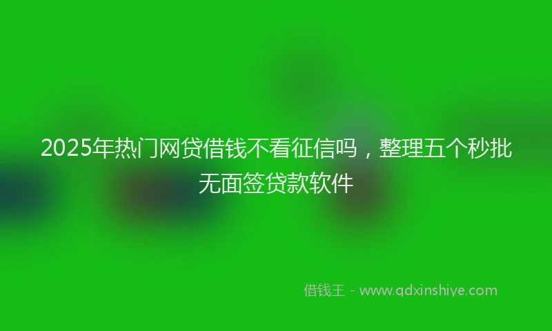 2025年热门网贷借钱不看征信吗，整理五个秒批无面签贷款软件