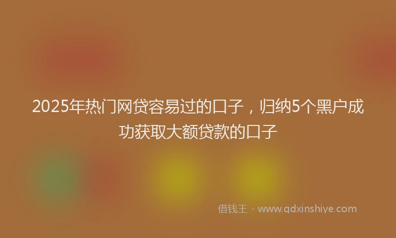 2025年热门网贷容易过的口子，归纳5个黑户成功获取大额贷款的口子
