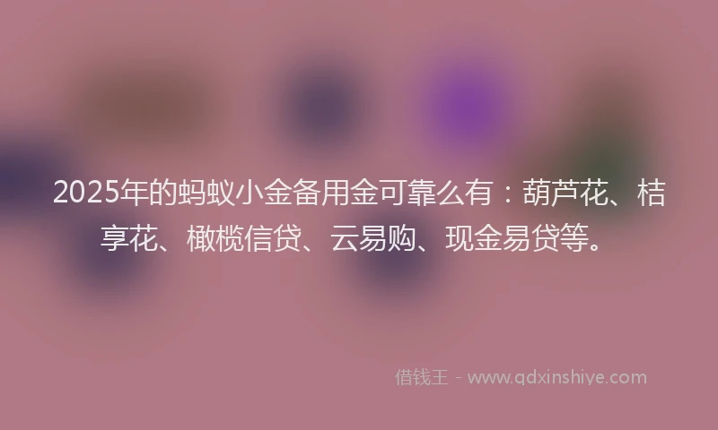 2025年的蚂蚁小金备用金可靠么有：葫芦花、桔享花、橄榄信贷、云易购、现金易贷等。