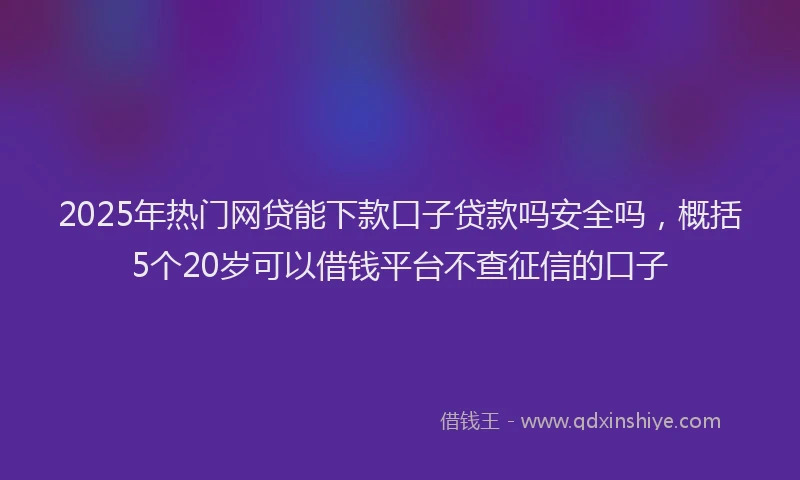 2025年热门网贷能下款口子贷款吗安全吗，概括5个20岁可以借钱平台不查征信的口子
