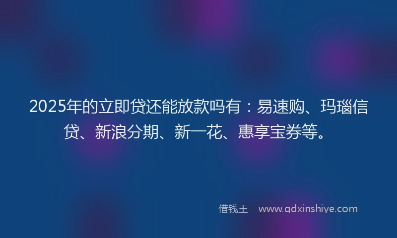 2025年的立即贷还能放款吗有：易速购、玛瑙信贷、新浪分期、新一花、惠享宝券等。