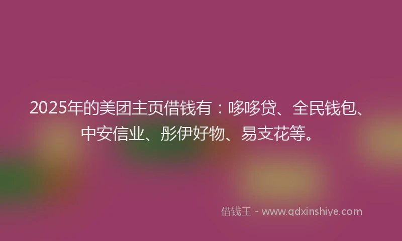 2025年的美团主页借钱有：哆哆贷、全民钱包、中安信业、彤伊好物、易支花等。