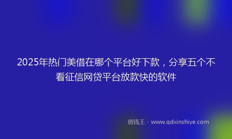 2025年热门美借在哪个平台好下款，分享五个不看征信网贷平台放款快的软件
