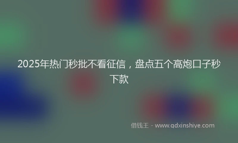 2025年热门秒批不看征信，盘点五个高炮口子秒下款