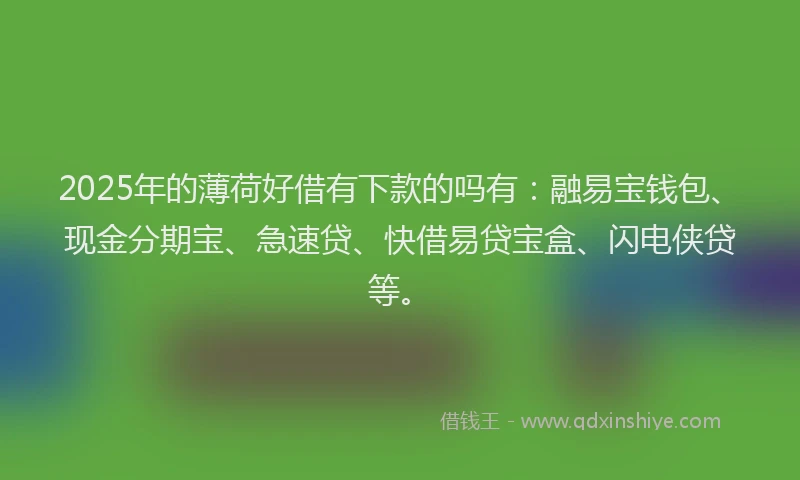 2025年的薄荷好借有下款的吗有：融易宝钱包、现金分期宝、急速贷、快借易贷宝盒、闪电侠贷等。