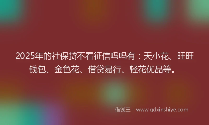 2025年的社保贷不看征信吗吗有：天小花、旺旺钱包、金色花、借贷易行、轻花优品等。
