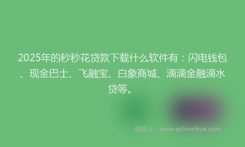 2025年的秒秒花贷款下载什么软件有：闪电钱包、现金巴士、飞融宝、白象商城、滴滴金融滴水贷等。