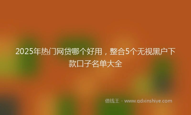 2025年热门网贷哪个好用，整合5个无视黑户下款口子名单大全