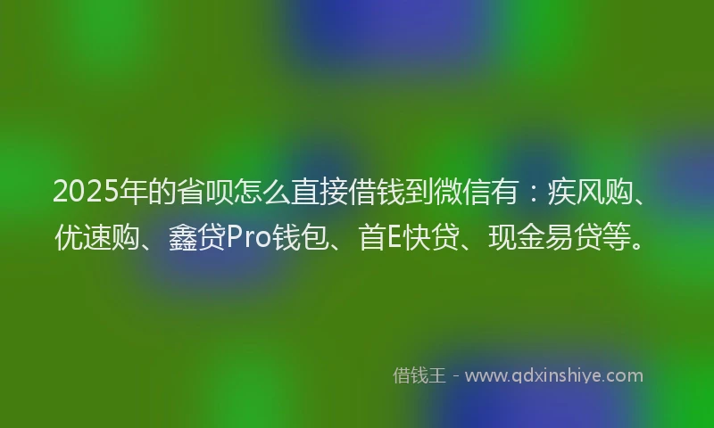 2025年的省呗怎么直接借钱到微信有：疾风购、优速购、鑫贷Pro钱包、首E快贷、现金易贷等。
