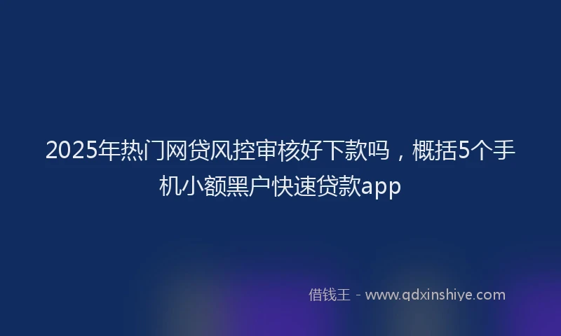 2025年热门网贷风控审核好下款吗，概括5个手机小额黑户快速贷款app