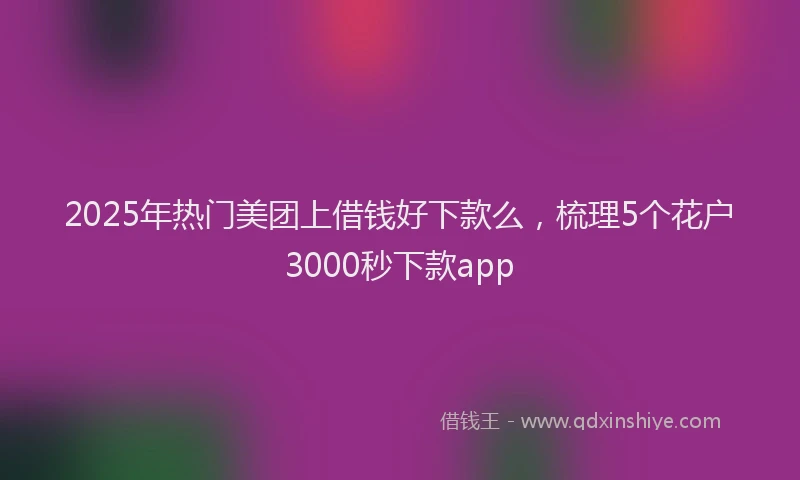 2025年热门美团上借钱好下款么，梳理5个花户3000秒下款app
