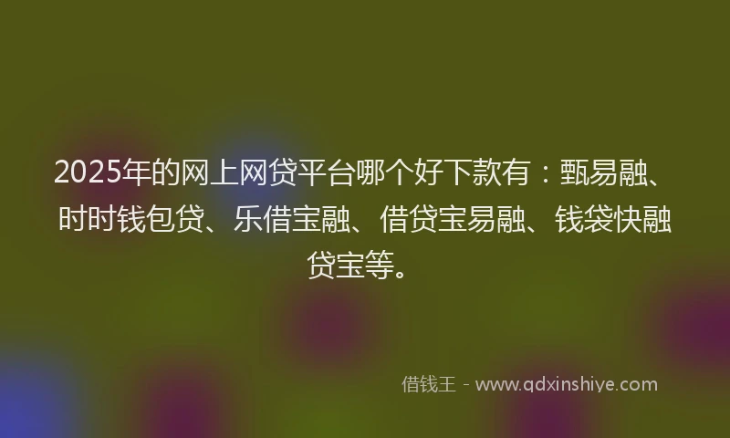 2025年的网上网贷平台哪个好下款有：甄易融、时时钱包贷、乐借宝融、借贷宝易融、钱袋快融贷宝等。
