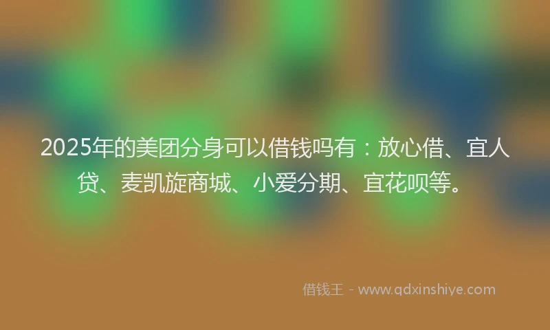 2025年的美团分身可以借钱吗有：放心借、宜人贷、麦凯旋商城、小爱分期、宜花呗等。
