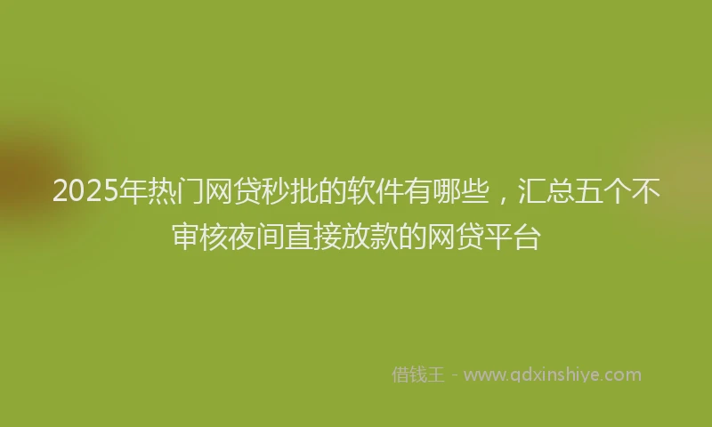 2025年热门网贷秒批的软件有哪些，汇总五个不审核夜间直接放款的网贷平台