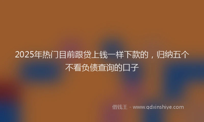 2025年热门目前跟贷上钱一样下款的，归纳五个不看负债查询的口子