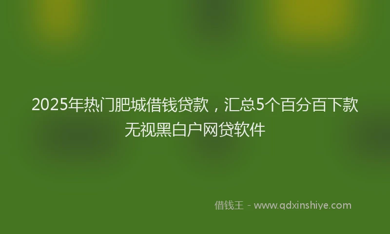 2025年热门肥城借钱贷款，汇总5个百分百下款无视黑白户网贷软件