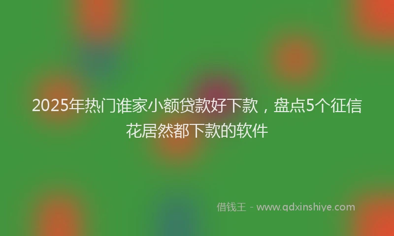 2025年热门谁家小额贷款好下款，盘点5个征信花居然都下款的软件