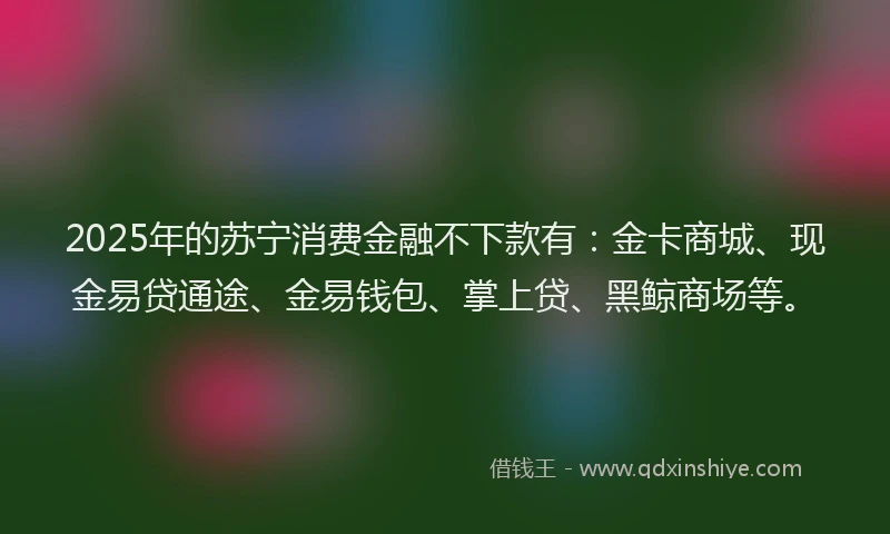 2025年的苏宁消费金融不下款有：金卡商城、现金易贷通途、金易钱包、掌上贷、黑鲸商场等。