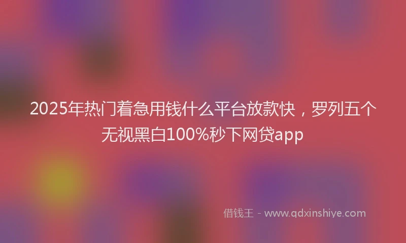 2025年热门着急用钱什么平台放款快，罗列五个无视黑白100%秒下网贷app