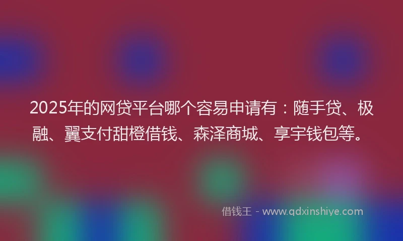 2025年的网贷平台哪个容易申请有：随手贷、极融、翼支付甜橙借钱、森泽商城、享宇钱包等。