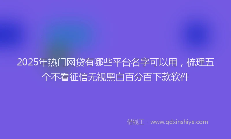 2025年热门网贷有哪些平台名字可以用，梳理五个不看征信无视黑白百分百下款软件