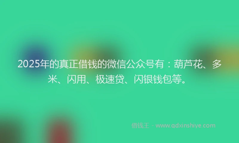 2025年的真正借钱的微信公众号有：葫芦花、多米、闪用、极速贷、闪银钱包等。