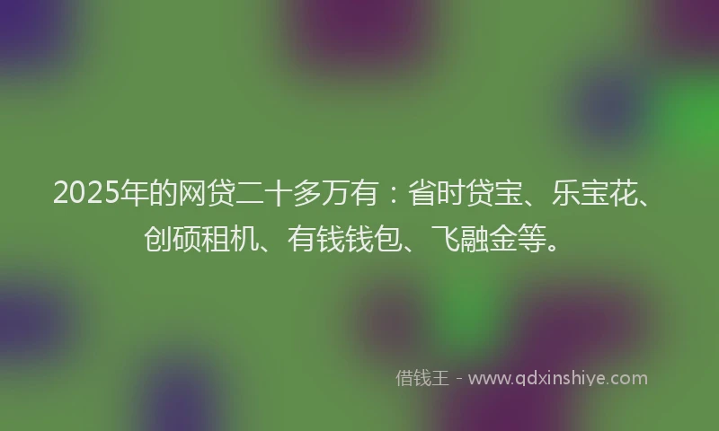 2025年的网贷二十多万有：省时贷宝、乐宝花、创硕租机、有钱钱包、飞融金等。