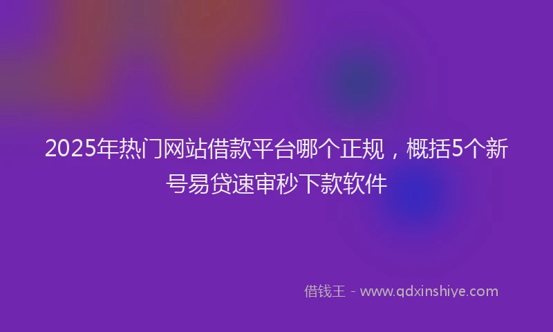 2025年热门网站借款平台哪个正规，概括5个新号易贷速审秒下款软件