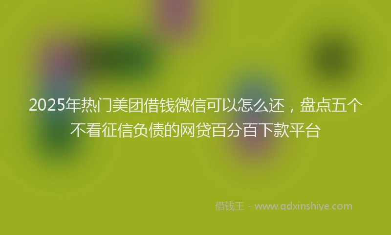 2025年热门美团借钱微信可以怎么还，盘点五个不看征信负债的网贷百分百下款平台