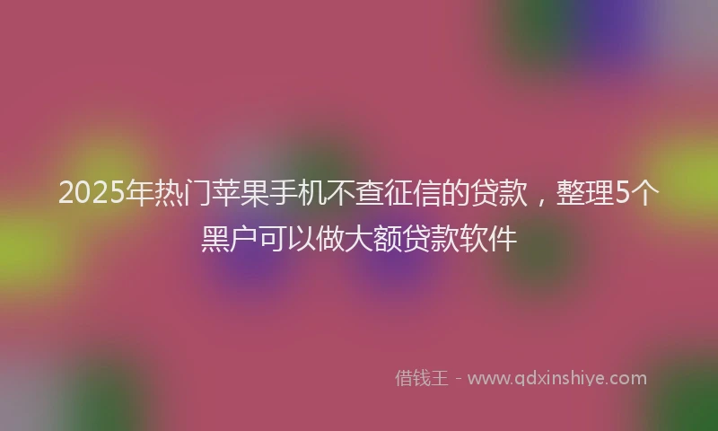 2025年热门苹果手机不查征信的贷款，整理5个黑户可以做大额贷款软件
