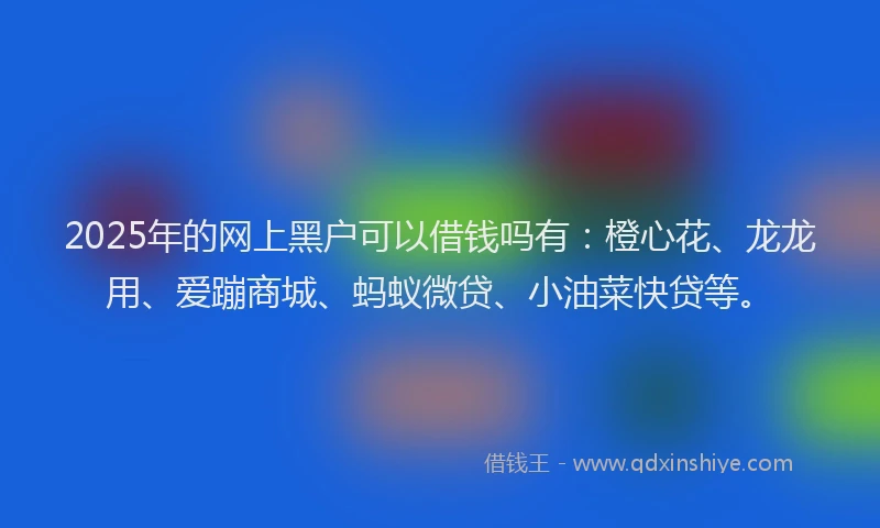 2025年的网上黑户可以借钱吗有：橙心花、龙龙用、爱蹦商城、蚂蚁微贷、小油菜快贷等。