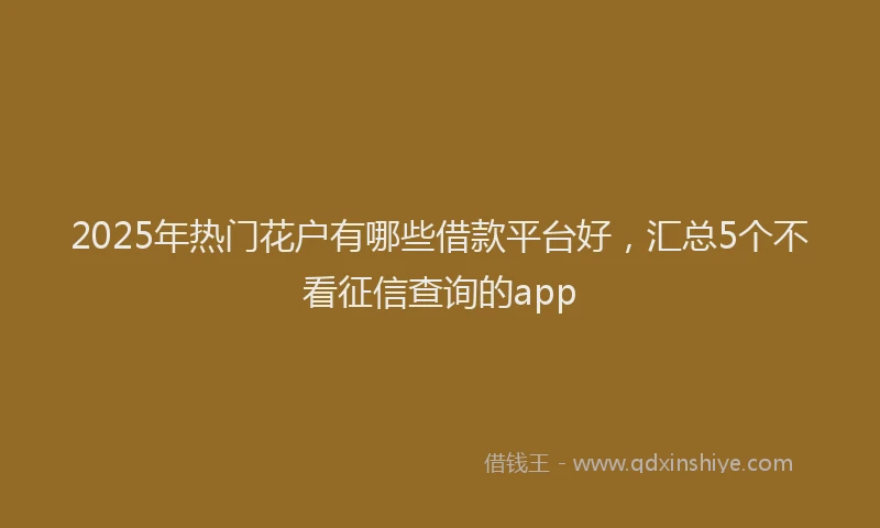 2025年热门花户有哪些借款平台好，汇总5个不看征信查询的app