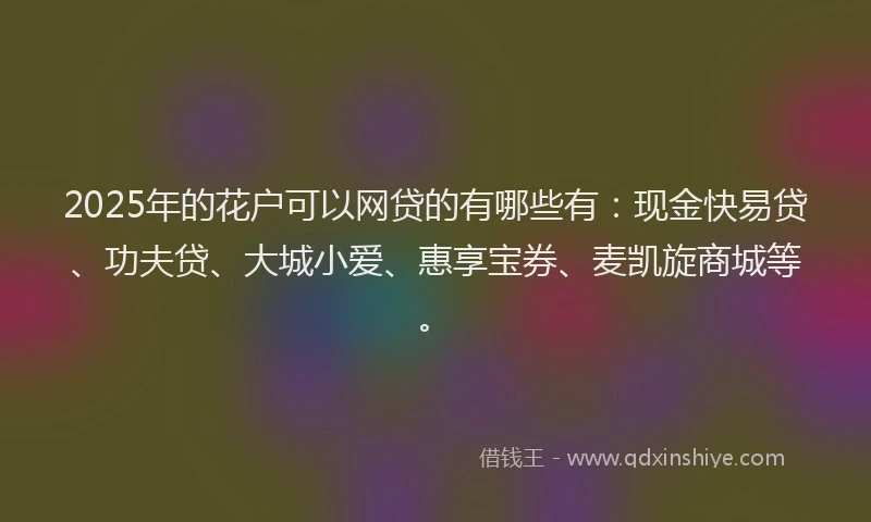 2025年的花户可以网贷的有哪些有：现金快易贷、功夫贷、大城小爱、惠享宝券、麦凯旋商城等。