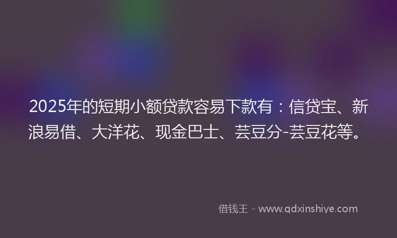 2025年的短期小额贷款容易下款有：信贷宝、新浪易借、大洋花、现金巴士、芸豆分-芸豆花等。