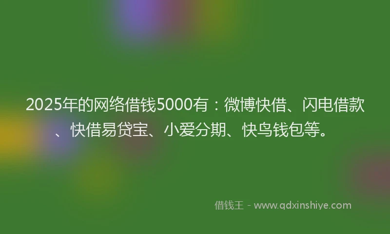 2025年的网络借钱5000有：微博快借、闪电借款、快借易贷宝、小爱分期、快鸟钱包等。