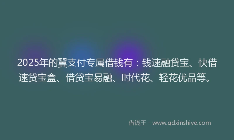 2025年的翼支付专属借钱有：钱速融贷宝、快借速贷宝盒、借贷宝易融、时代花、轻花优品等。